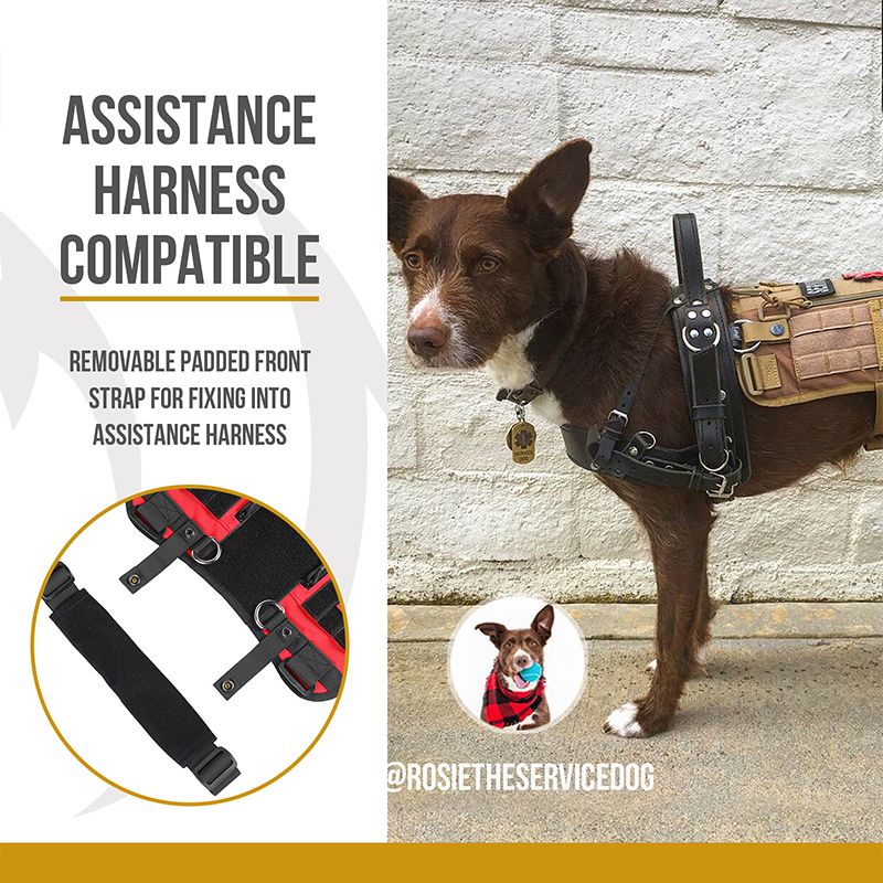 https://cdn.shopify.com/s/files/1/0606/6549/5635/files/1-6_5.jpg?v=1726505495