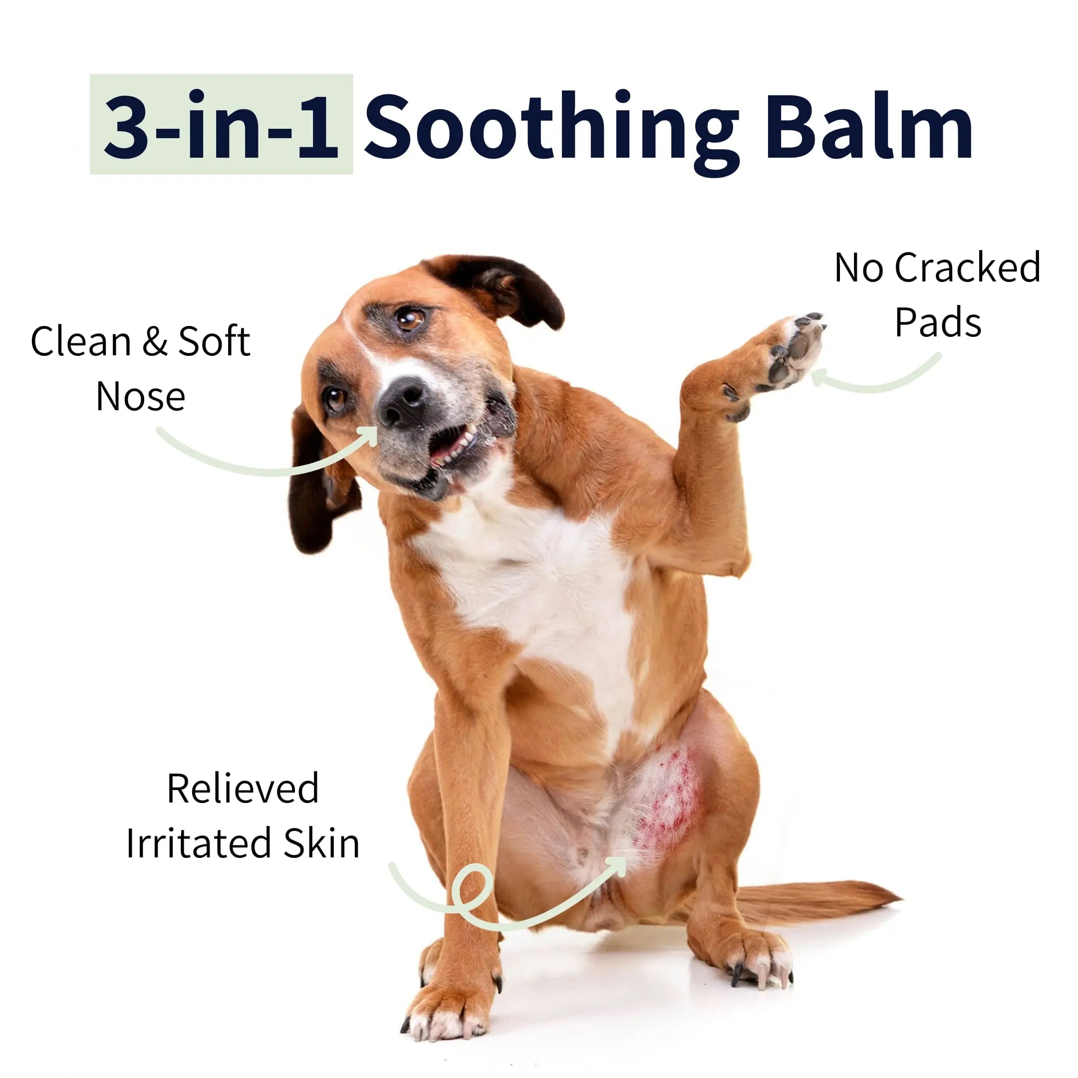 https://cdn.shopify.com/s/files/1/0573/7388/4529/files/3-in-1-soothing-ablm-dog-_1.webp?v=1768468694