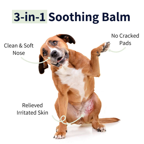 https://cdn.shopify.com/s/files/1/0573/7388/4529/files/3-in-1-soothing-ablm-dog-_1.webp?v=1768468694