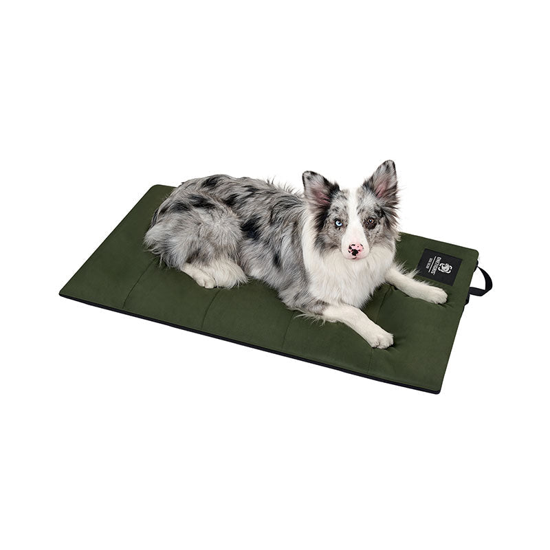 https://cdn.shopify.com/s/files/1/0606/6549/5635/files/CWD02-2-1.jpg?v=1761708249