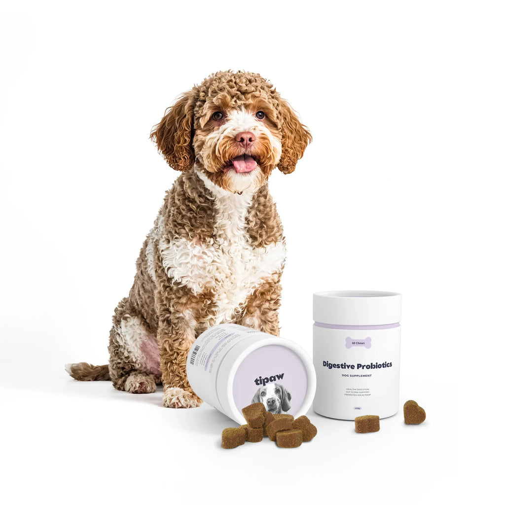 https://cdn.shopify.com/s/files/1/0573/7388/4529/files/Calming_option_2_1_1.webp?v=1768468860
