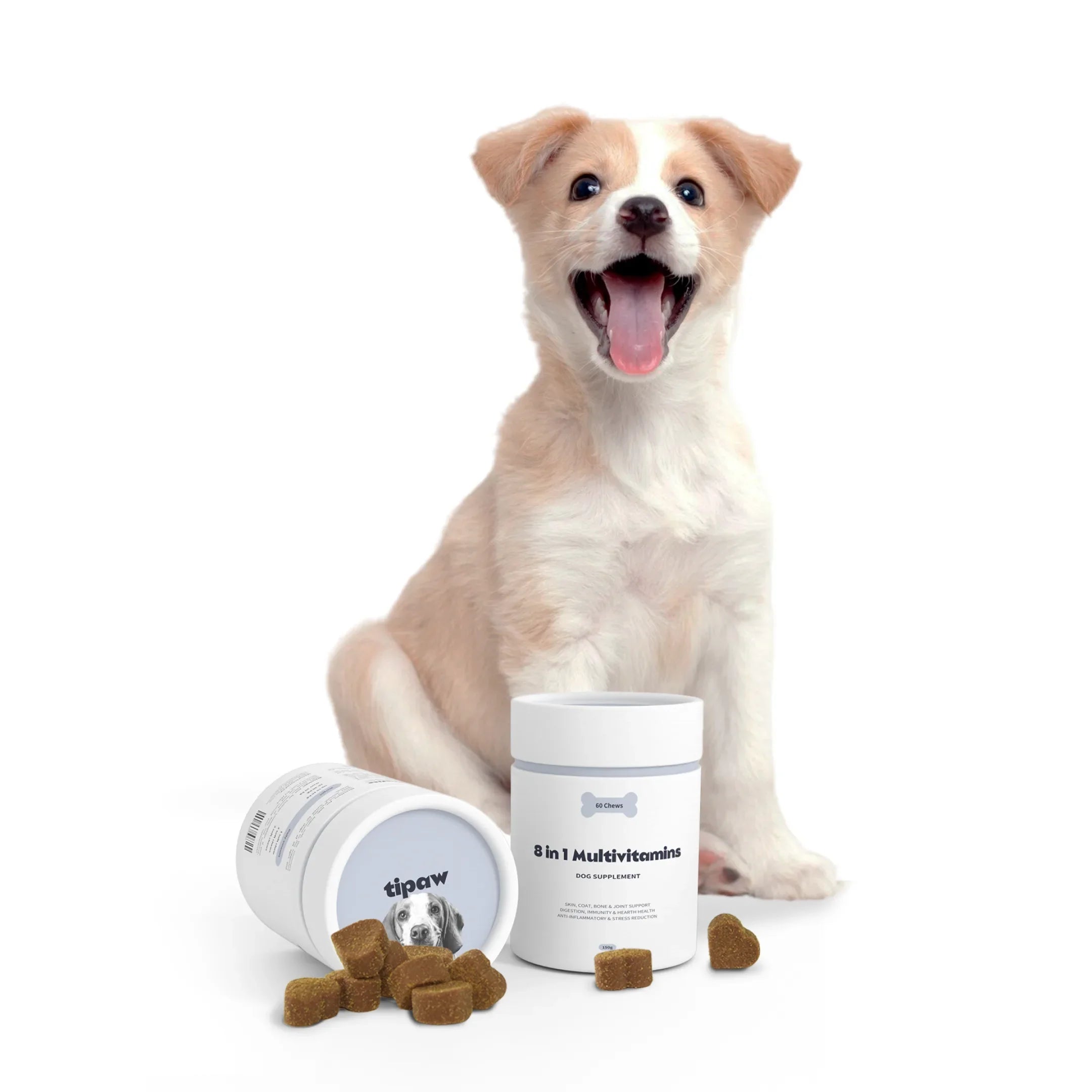 https://cdn.shopify.com/s/files/1/0573/7388/4529/files/Calming_option_2_1_c50ec18c-a693-4ced-b391-150f602a64b7.webp?v=1768468875
