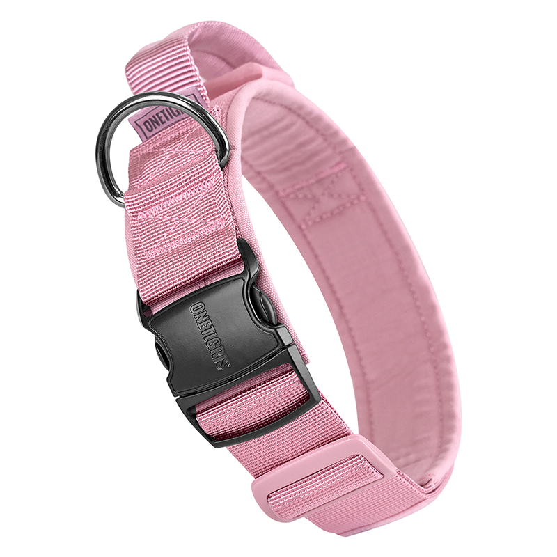 https://cdn.shopify.com/s/files/1/0606/6549/5635/files/DG-GBT08-MP.png?v=1751255504