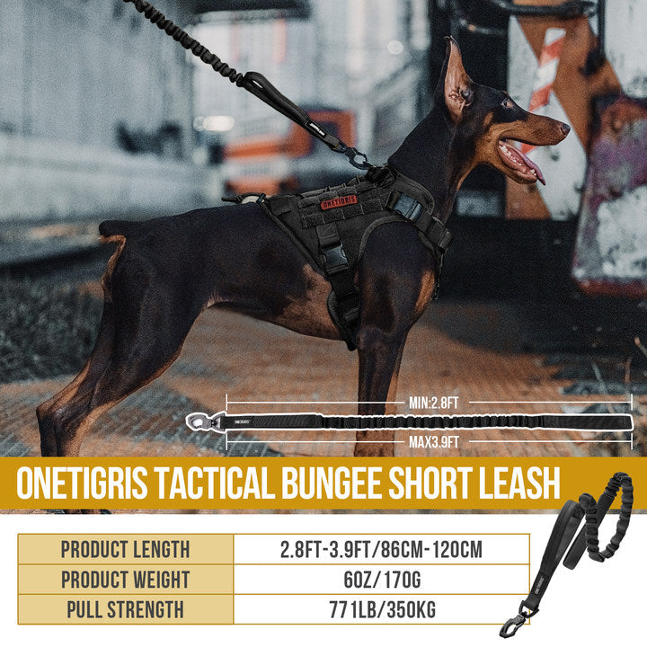 https://cdn.shopify.com/s/files/1/0606/6549/5635/files/DG-GSD110A-BK-Sizing.jpg?v=1752749764