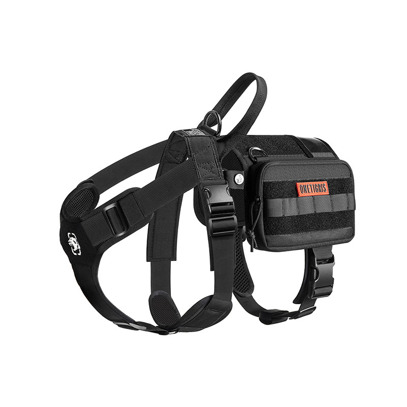 https://cdn.shopify.com/s/files/1/0606/6549/5635/files/DG-GTZ01A-BKL-1-2.jpg?v=1737618257