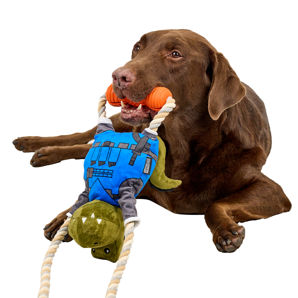 https://cdn.shopify.com/s/files/1/0606/6549/5635/files/DG-GWJ01A-RBF-1-6.png?v=1737294872