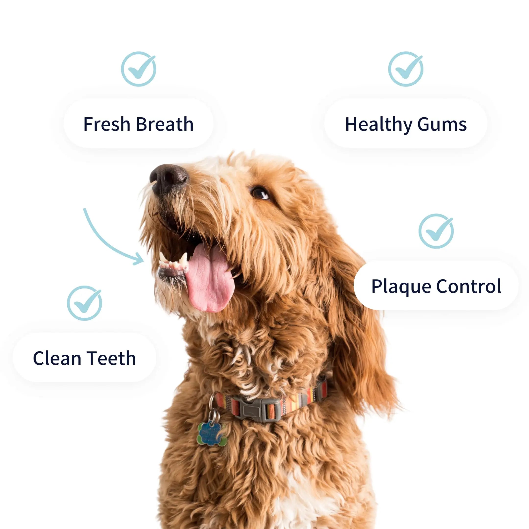 https://cdn.shopify.com/s/files/1/0573/7388/4529/files/Dental-benefits-min.webp?v=1768468612