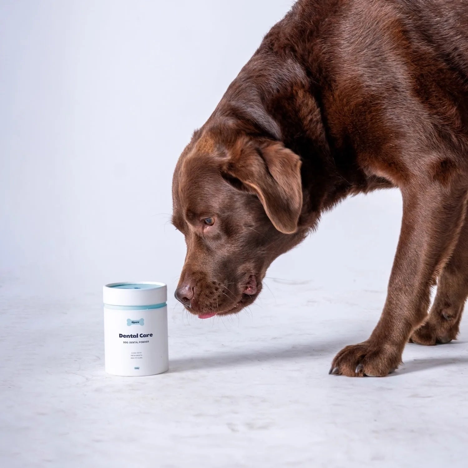 https://cdn.shopify.com/s/files/1/0573/7388/4529/files/Dental-dog-min_1.webp?v=1768468612