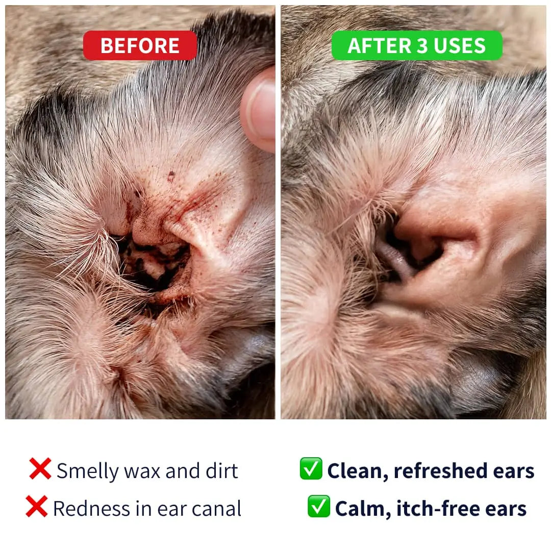 https://cdn.shopify.com/s/files/1/0573/7388/4529/files/Ear-cleaner-before-after-min.webp?v=1768468374