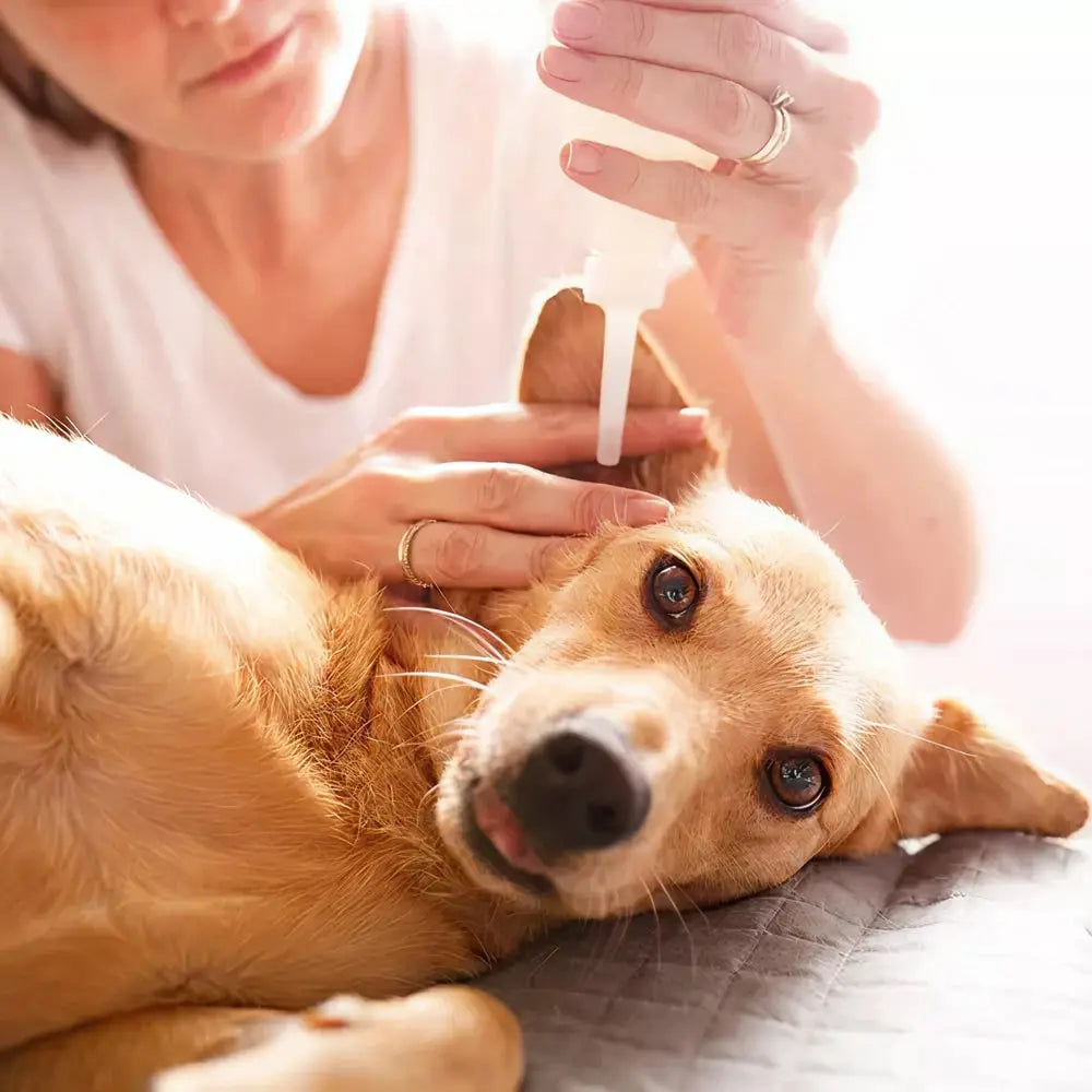 https://cdn.shopify.com/s/files/1/0573/7388/4529/files/Ear-cleaner-dog-2x-min.webp?v=1768468374