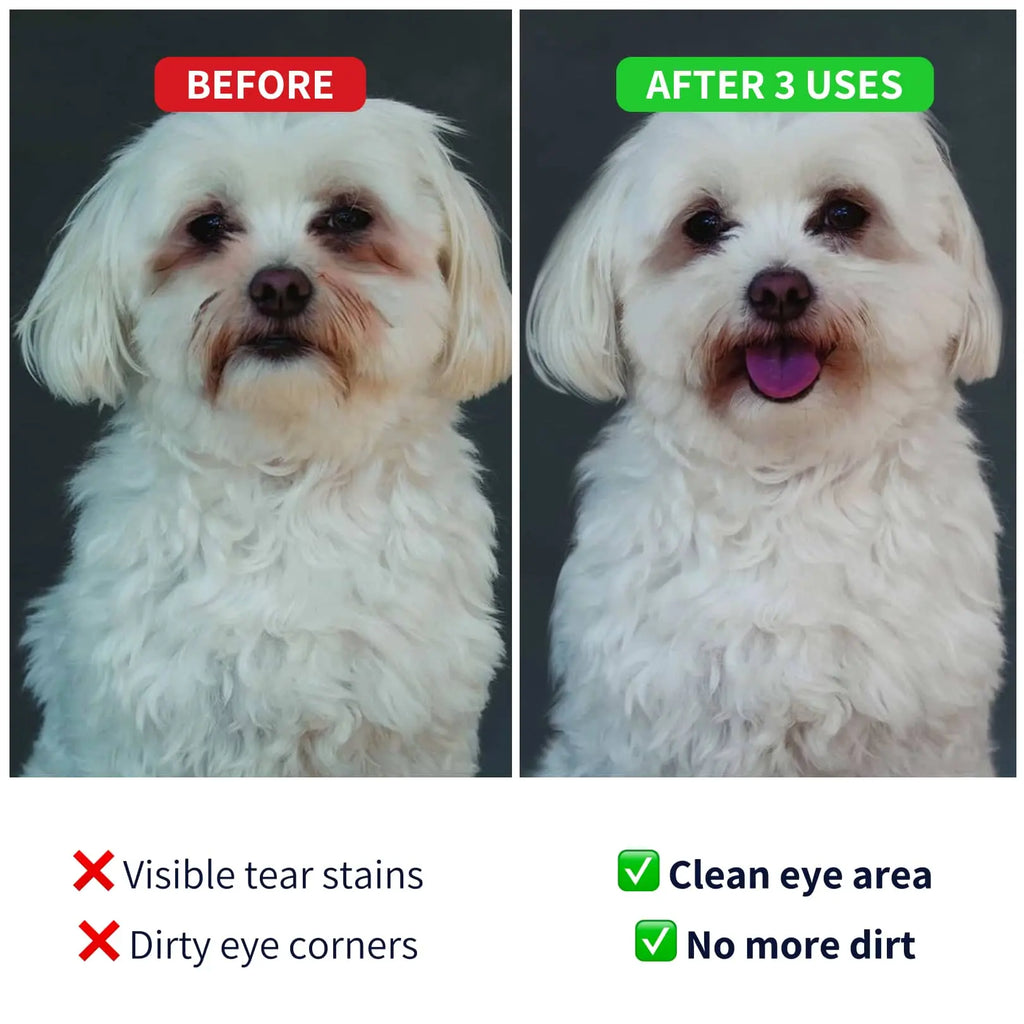 https://cdn.shopify.com/s/files/1/0573/7388/4529/files/Eye-cleaner-before-after-dog-min.webp?v=1768468364