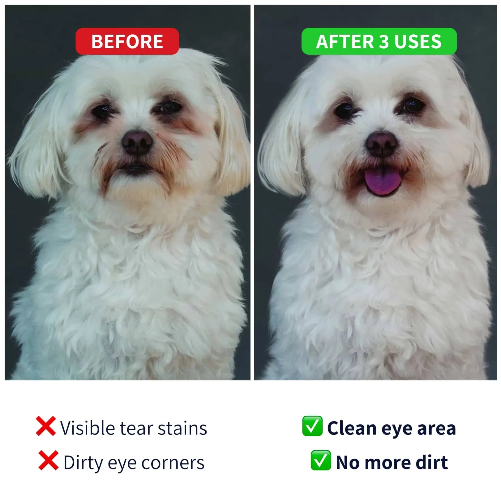 https://cdn.shopify.com/s/files/1/0573/7388/4529/files/Eye-cleaner-before-after-dog-min.webp?v=1768468364