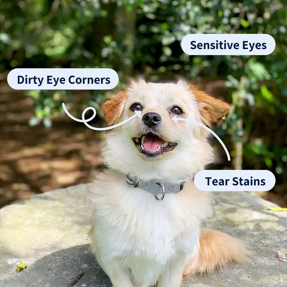 https://cdn.shopify.com/s/files/1/0573/7388/4529/files/Eye-cleaner-dog-USP-min.webp?v=1768468364