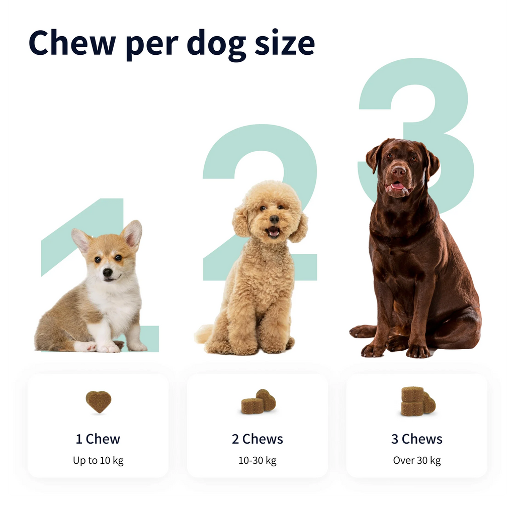 https://cdn.shopify.com/s/files/1/0573/7388/4529/files/Image.webp?v=1768468831