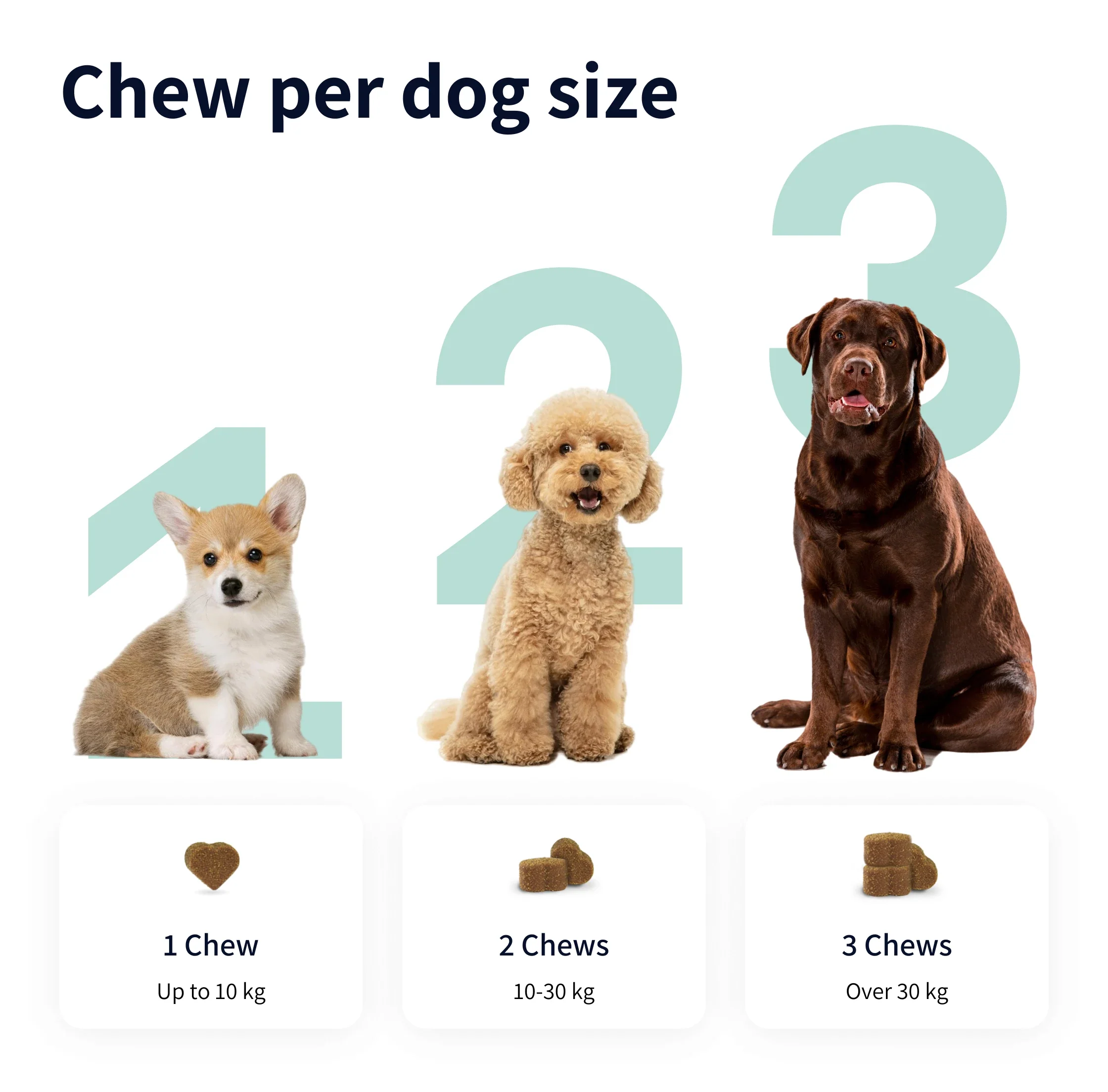 https://cdn.shopify.com/s/files/1/0573/7388/4529/files/Image.webp?v=1768468831