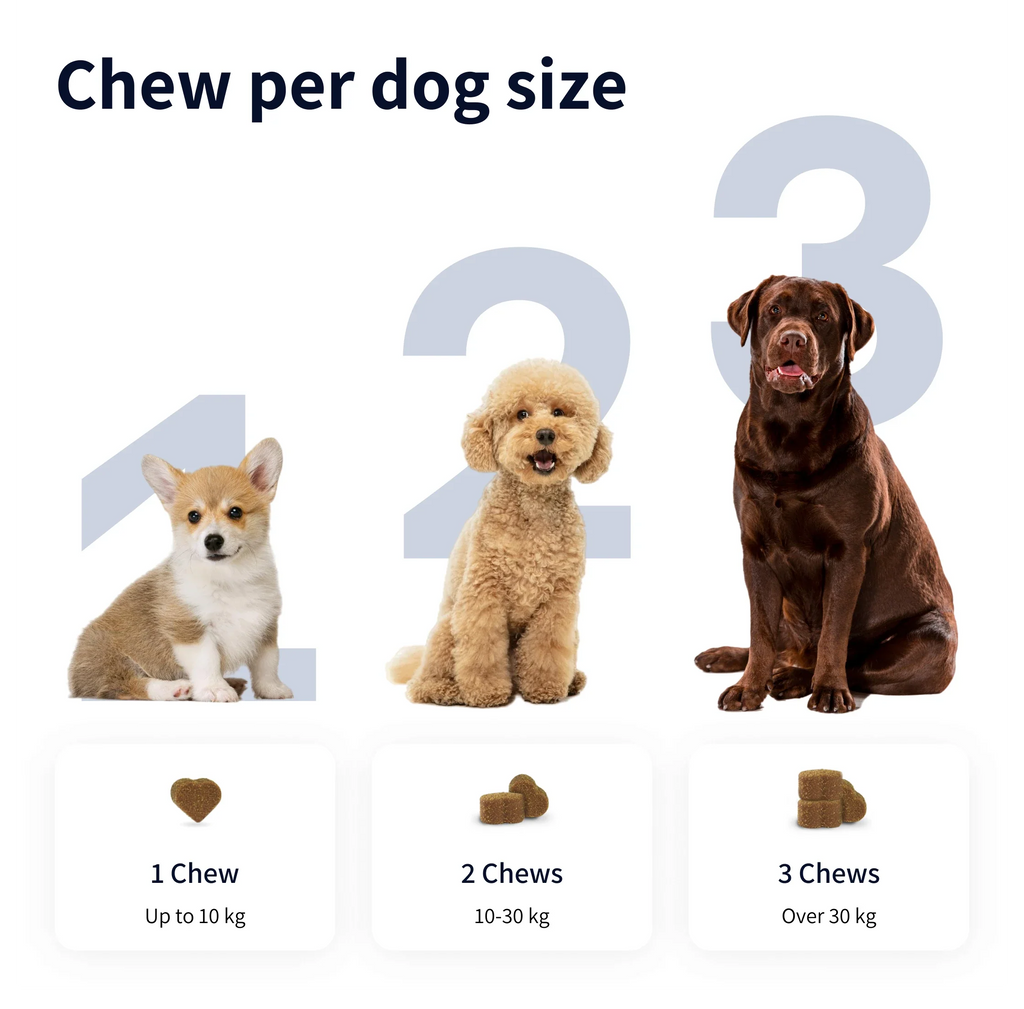 https://cdn.shopify.com/s/files/1/0573/7388/4529/files/Image_1_43f7419e-e103-4737-9c91-af8ed113173c.webp?v=1768468875