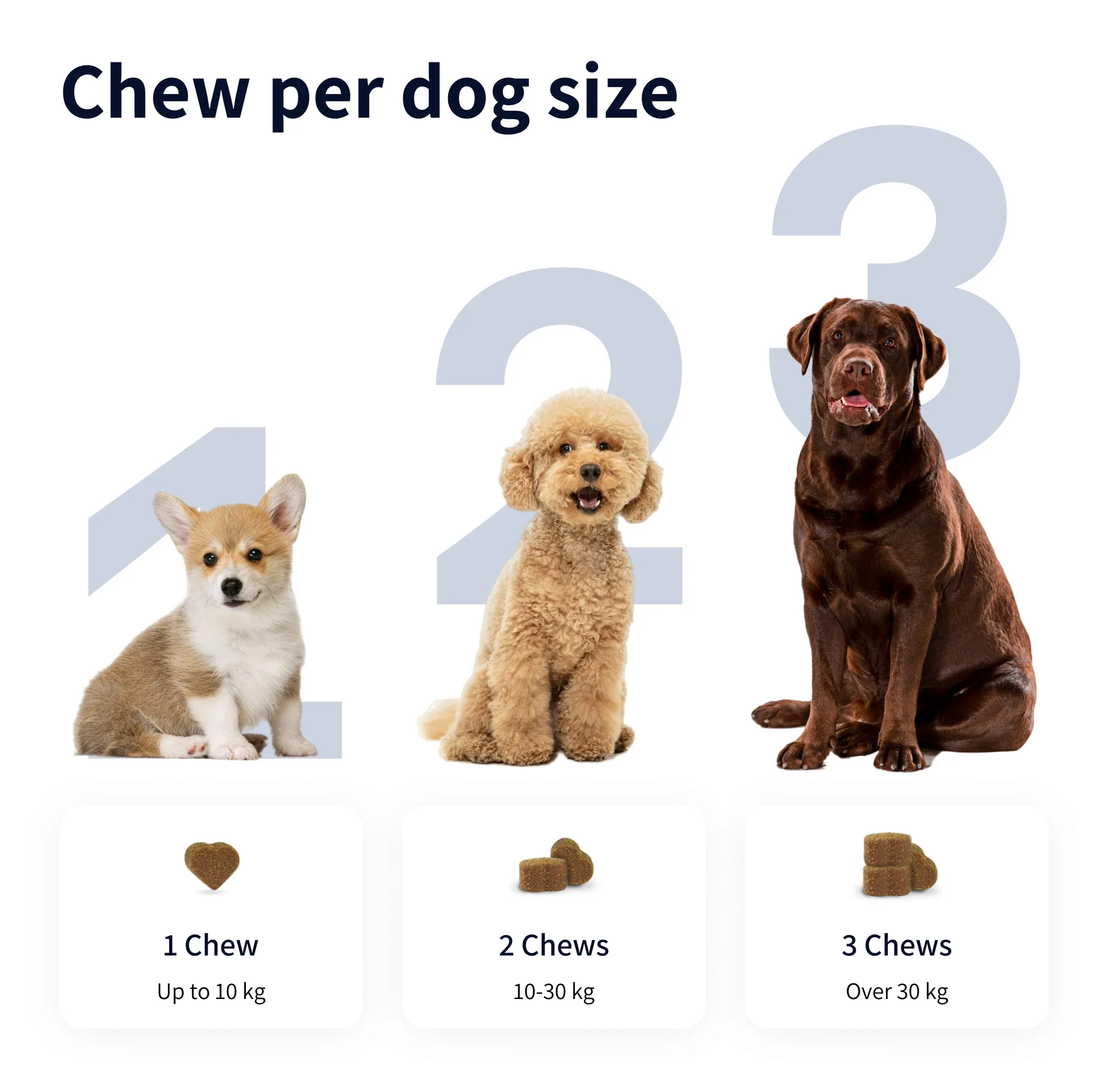 https://cdn.shopify.com/s/files/1/0573/7388/4529/files/Image_1_43f7419e-e103-4737-9c91-af8ed113173c.webp?v=1768468875