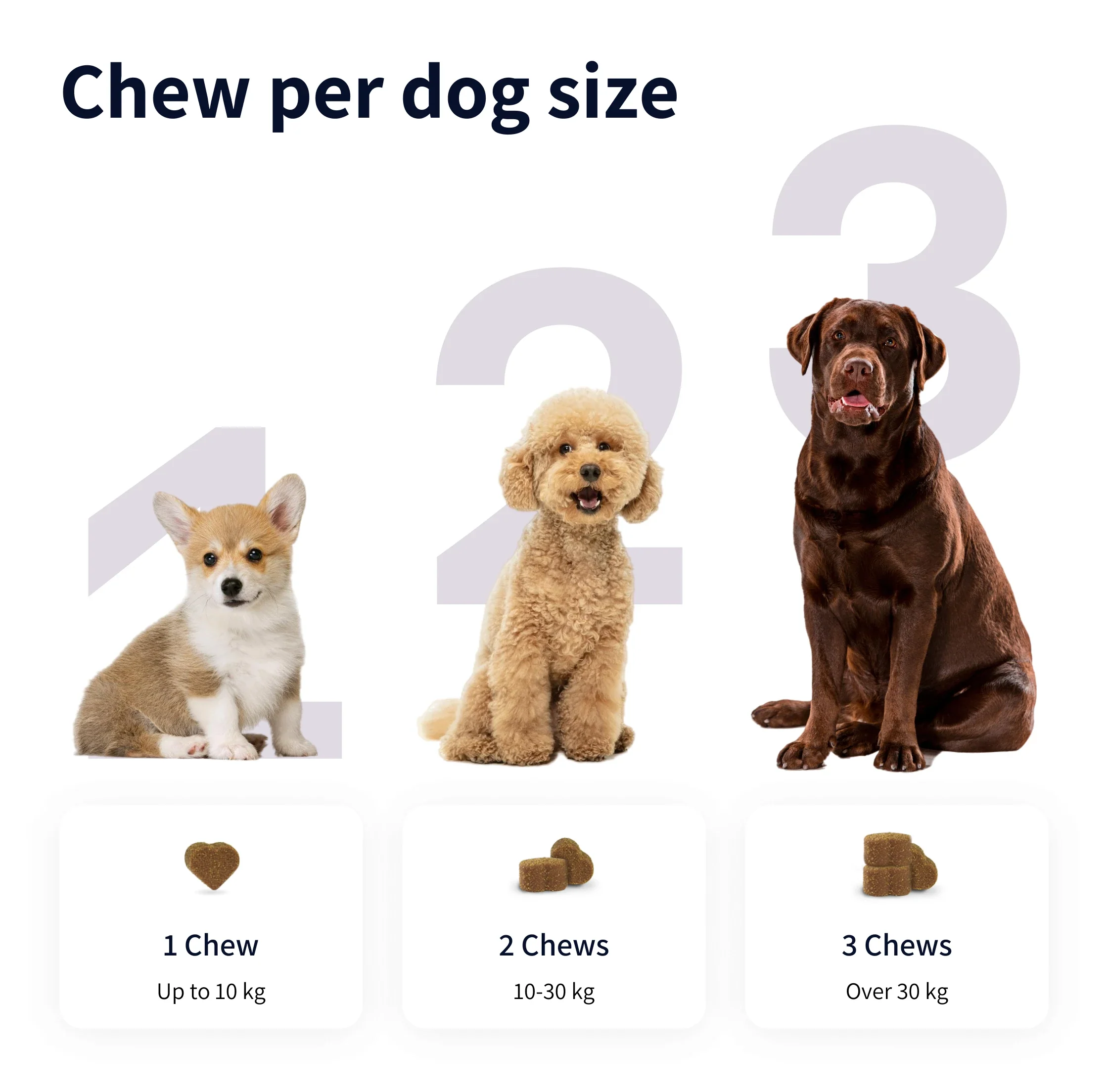 https://cdn.shopify.com/s/files/1/0573/7388/4529/files/Image_1_e26f5e67-4e27-441b-92c0-0bbbfed6898c.webp?v=1768468860
