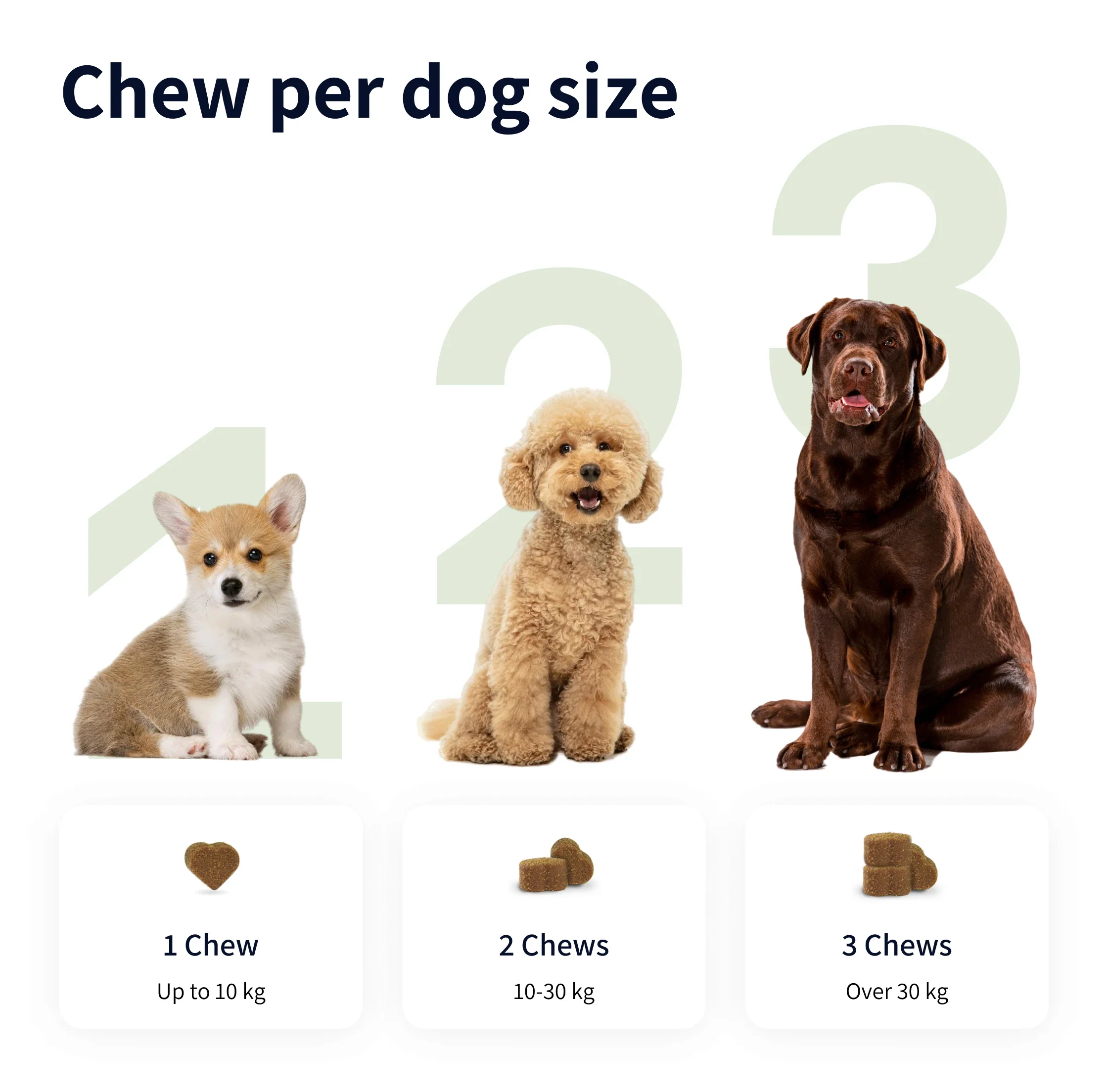 https://cdn.shopify.com/s/files/1/0573/7388/4529/files/Image_3.webp?v=1768468324
