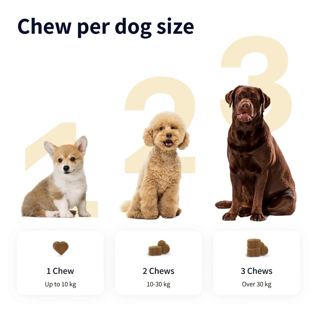 https://cdn.shopify.com/s/files/1/0573/7388/4529/files/Image_fdce5629-1896-4a66-93e1-e663c41aa582.webp?v=1768468846