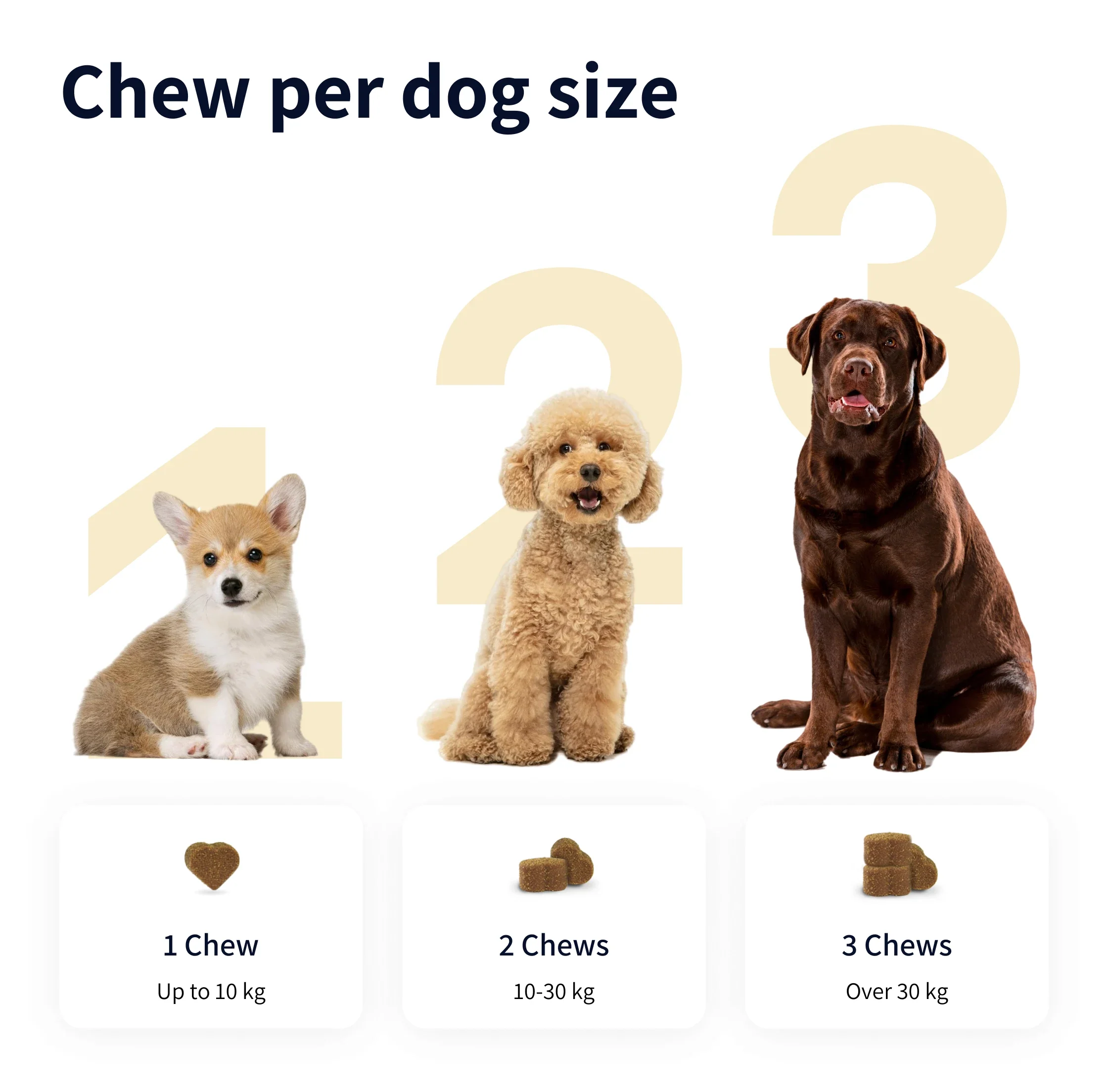 https://cdn.shopify.com/s/files/1/0573/7388/4529/files/Image_fdce5629-1896-4a66-93e1-e663c41aa582.webp?v=1768468846