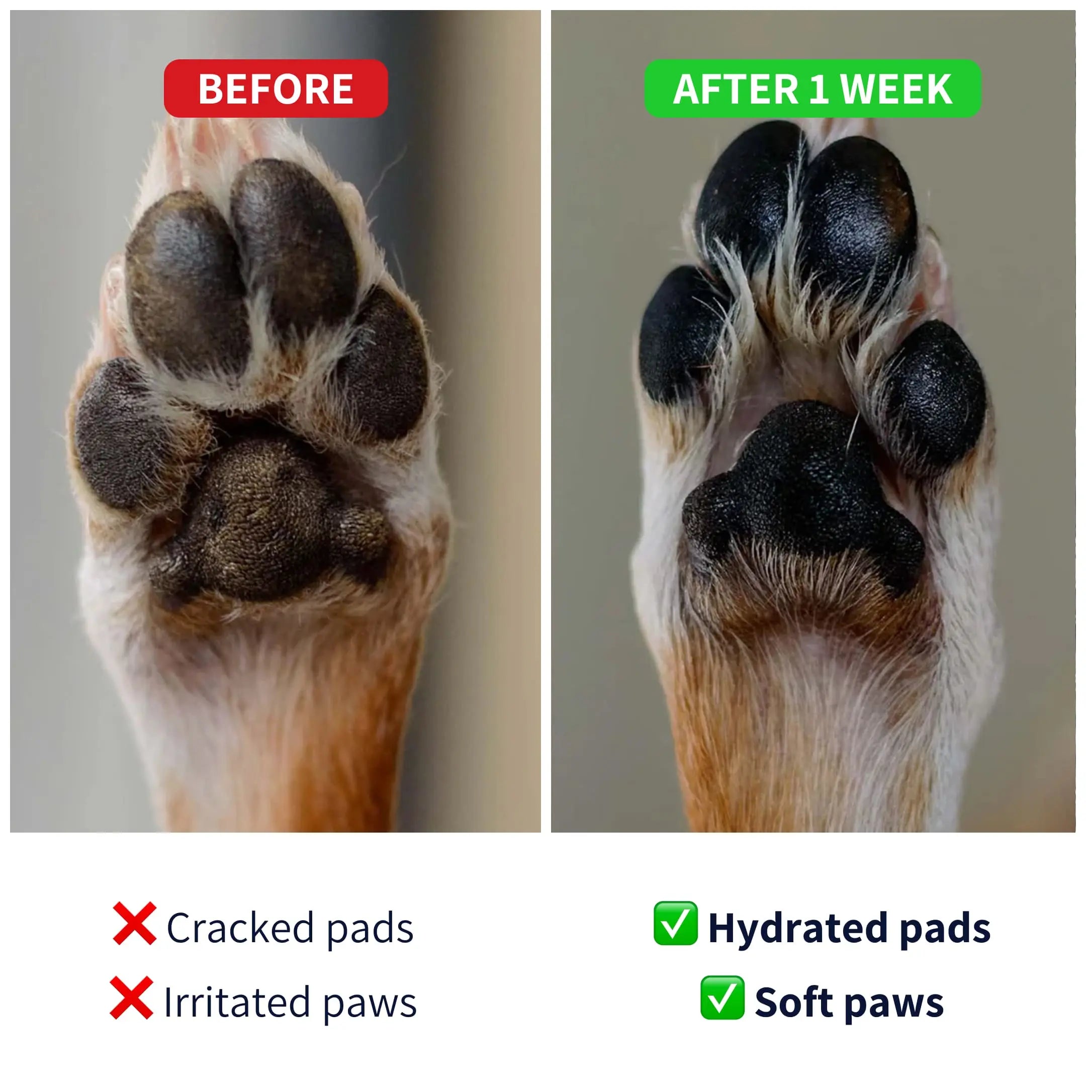 https://cdn.shopify.com/s/files/1/0573/7388/4529/files/Paws-before-after-balm.webp?v=1768468686