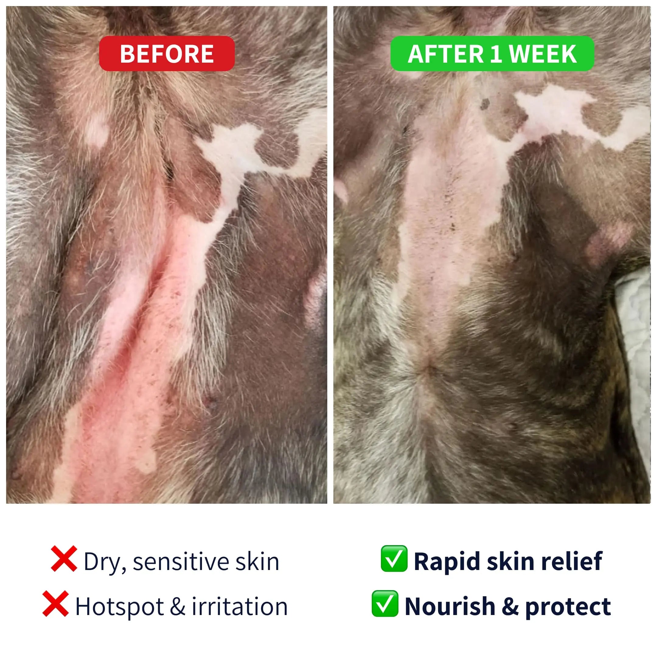 https://cdn.shopify.com/s/files/1/0573/7388/4529/files/Skin-before-after-balm.webp?v=1768468686