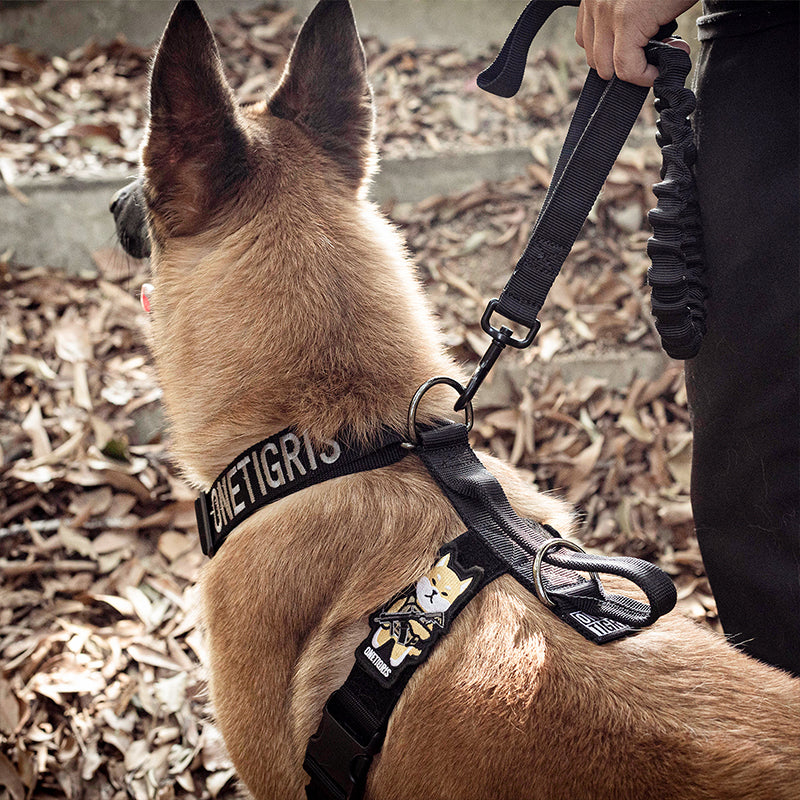 https://cdn.shopify.com/s/files/1/0606/6549/5635/files/TG-XBD04-BK-4-1_131c48cc-a0e8-4b20-b0ab-808f6a0374cd.jpg?v=1751273973