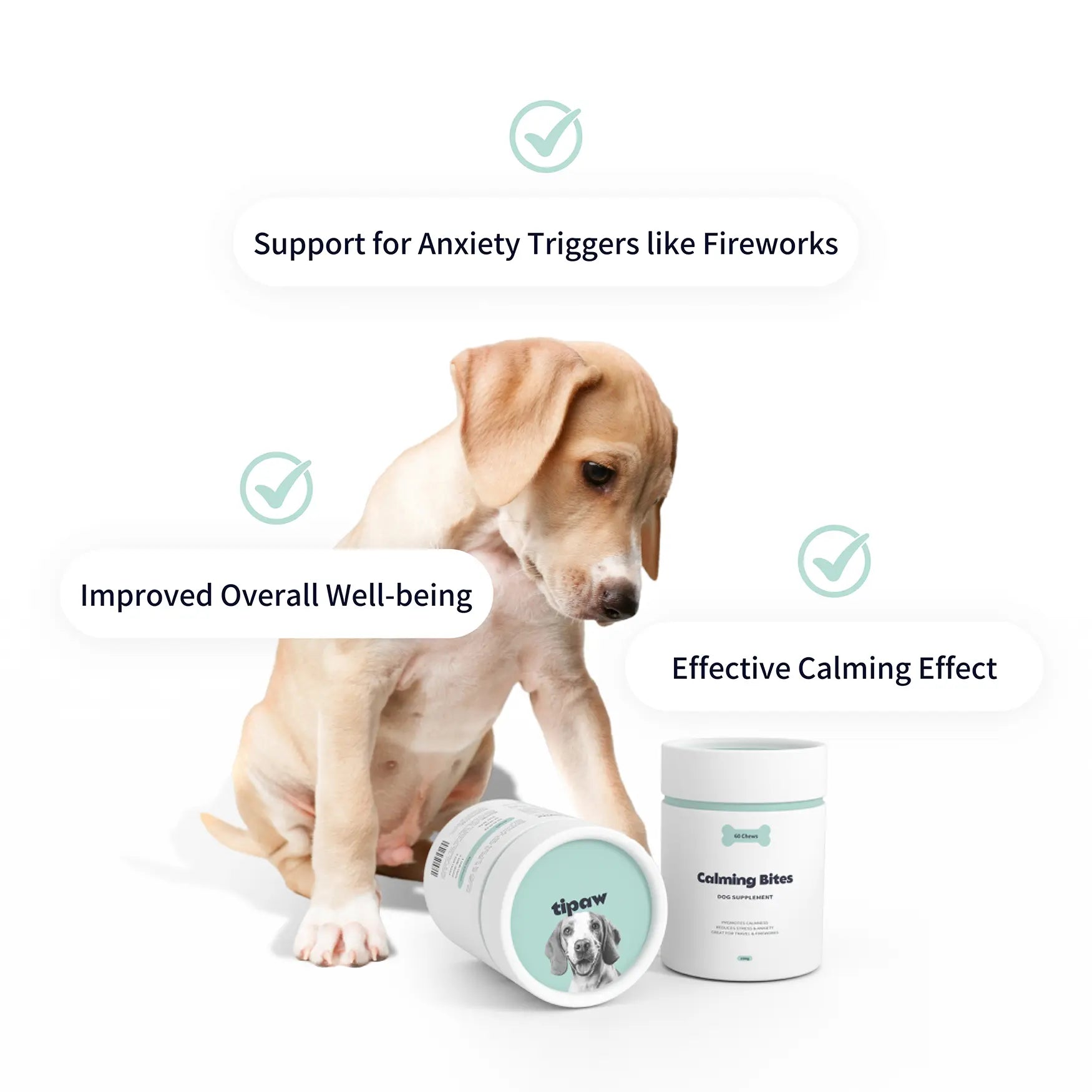 https://cdn.shopify.com/s/files/1/0573/7388/4529/files/calming-perks.webp?v=1768468831