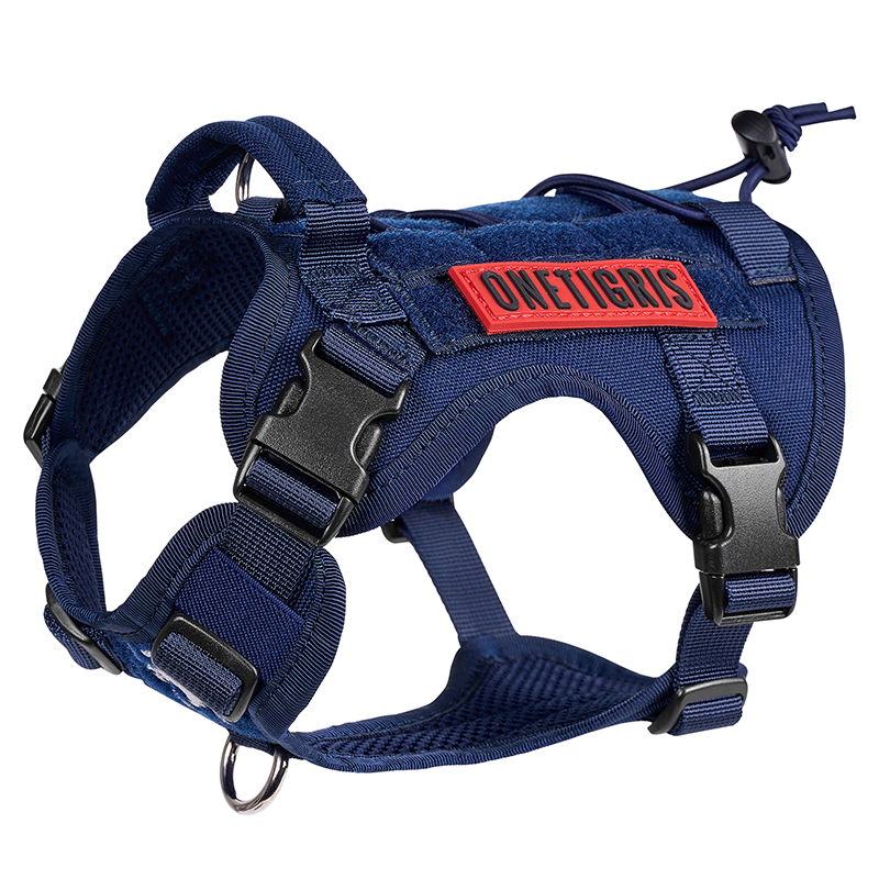 https://cdn.shopify.com/s/files/1/0606/6549/5635/files/dg-gbx03-nbxxs-1-1_56c3e607-a90a-4716-adbc-00102a00bb05.png?v=1760598862