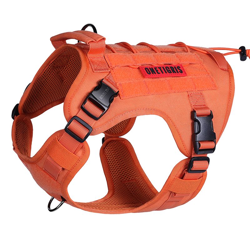 https://cdn.shopify.com/s/files/1/0606/6549/5635/files/dg-gbx20a-oe-1-2_2.jpg?v=1760598862