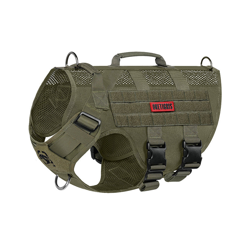https://cdn.shopify.com/s/files/1/0606/6549/5635/files/dg-gbx24a-rg-1-1.jpg?v=1751273326