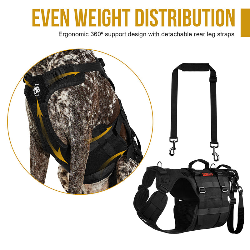 https://cdn.shopify.com/s/files/1/0606/6549/5635/files/dg-gbx32a-3-1_1.jpg?v=1726552561