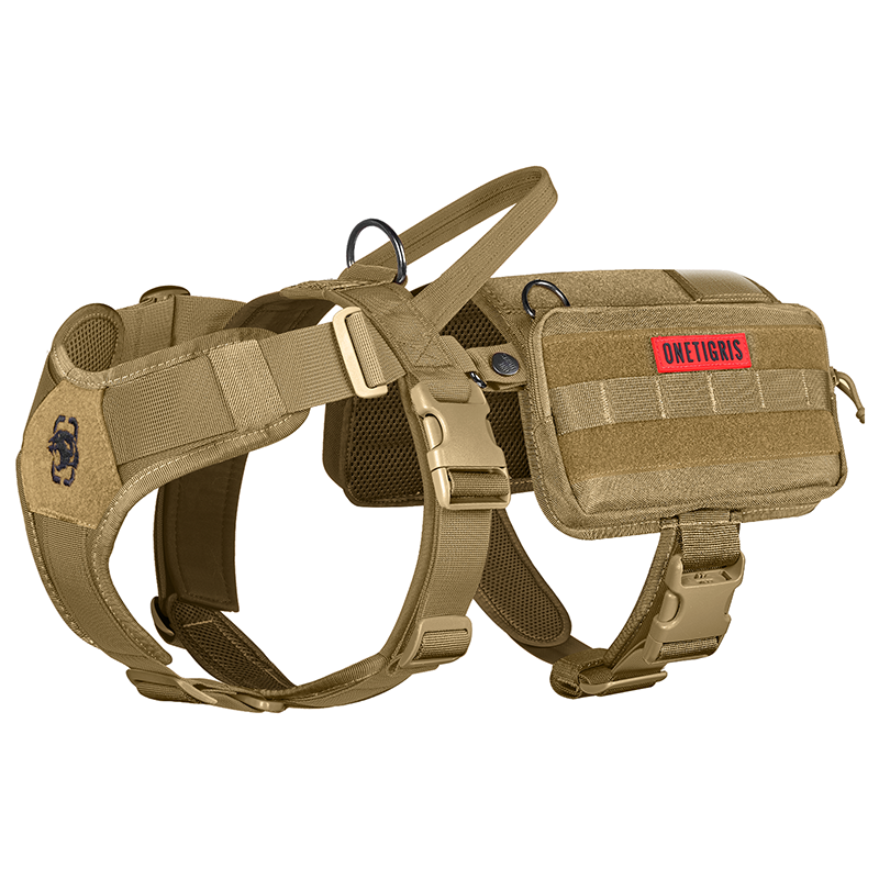 https://cdn.shopify.com/s/files/1/0606/6549/5635/files/dg-gtz01a-cbl-1-1_1.png?v=1751273064