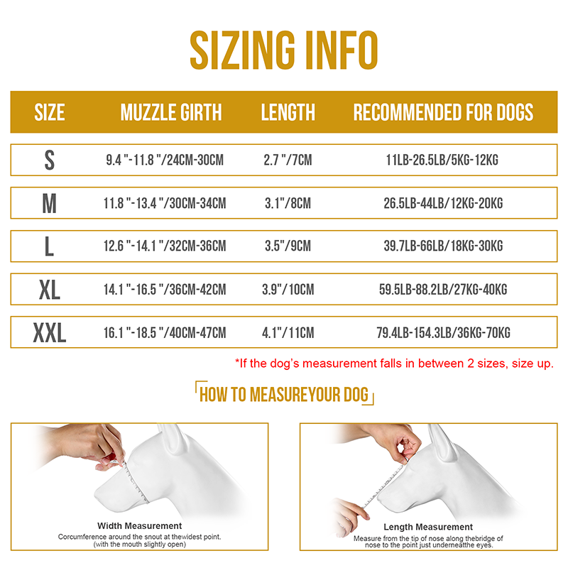 https://cdn.shopify.com/s/files/1/0606/6549/5635/files/dg-gzt01a-2-1_1.png?v=1726553949