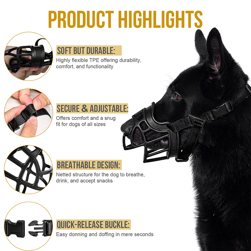 https://cdn.shopify.com/s/files/1/0606/6549/5635/files/dg-gzt01a-3-1_1.png?v=1726553951