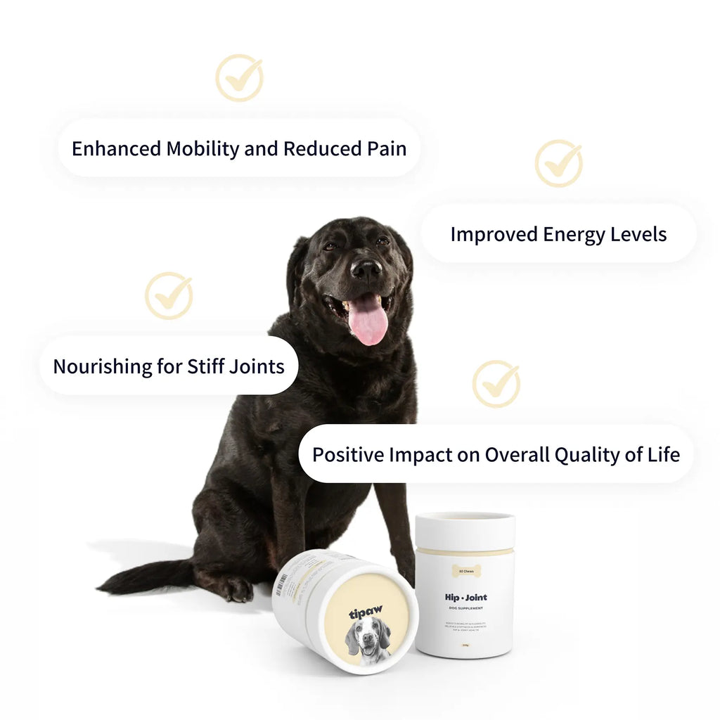 https://cdn.shopify.com/s/files/1/0573/7388/4529/files/hip-joint-perks.webp?v=1768468846