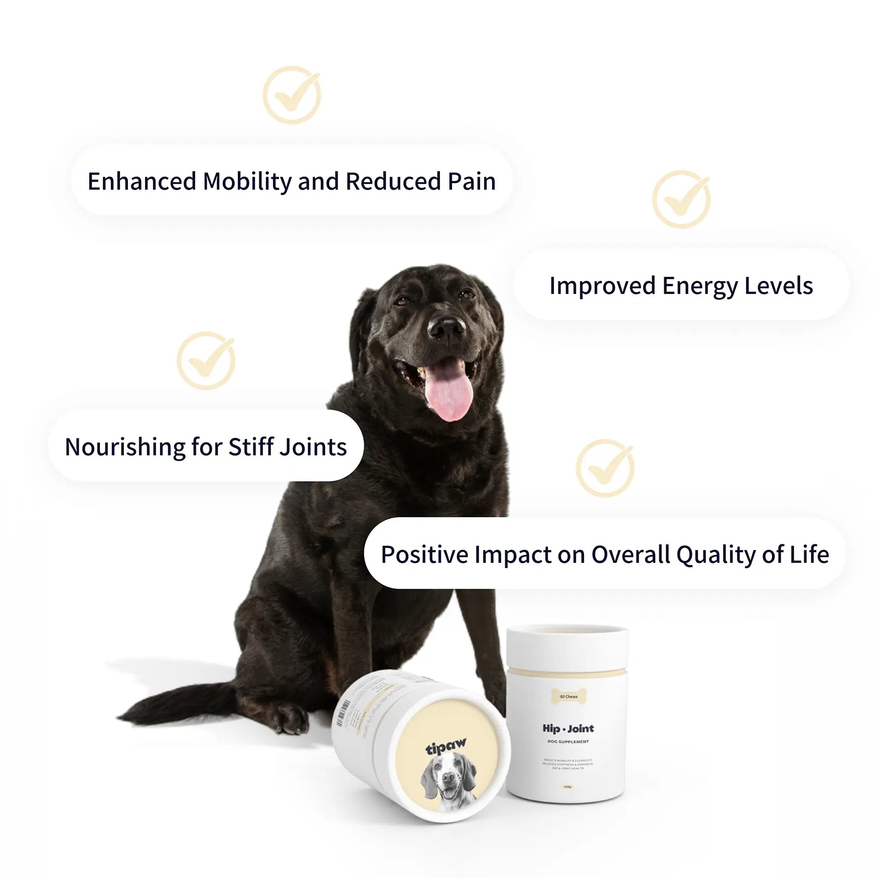 https://cdn.shopify.com/s/files/1/0573/7388/4529/files/hip-joint-perks.webp?v=1768468846