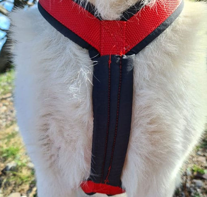 Huken Nomeharness featuring adjustable straps and durable material, designed for comfortable and secure wear.