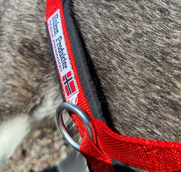 Huken Nomeharness in black with adjustable straps, designed for comfortable, secure fit during outdoor adventures.