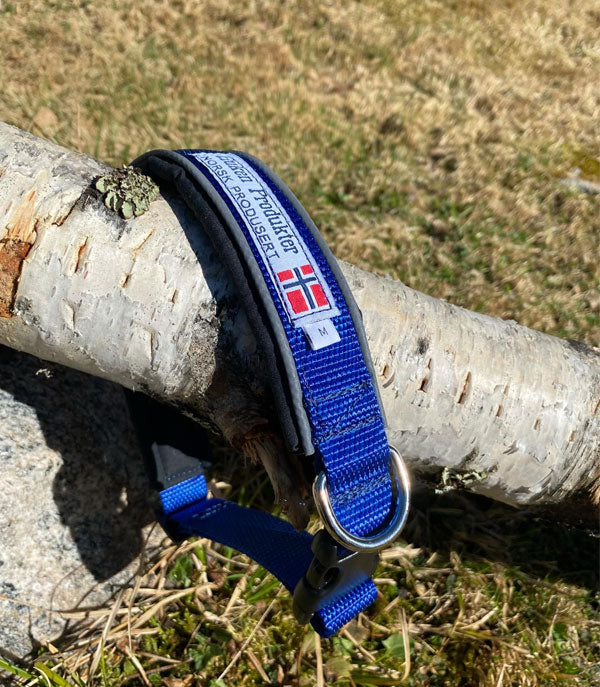 Huken collar with bisecting design, showcasing its stylish and sturdy craftsmanship, close-up view of the product.