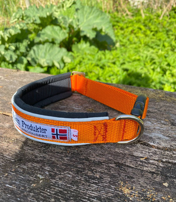 Huken collar with a sleek design, featuring adjustable straps and metal hardware, displayed on a neutral background.