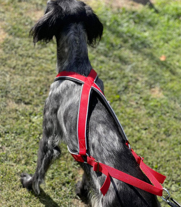 Huken multiharness with adjustable straps and multiple attachment points, suitable for outdoor activities and safety use.
