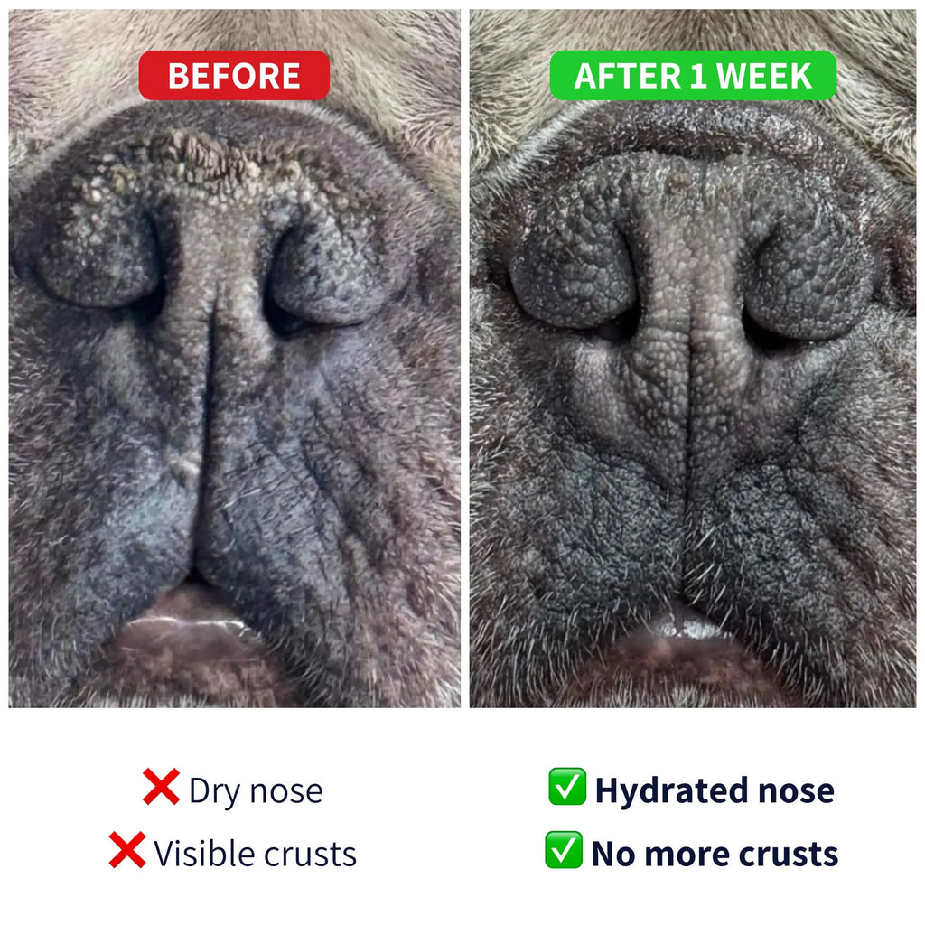 https://cdn.shopify.com/s/files/1/0573/7388/4529/files/nose-before-after-balm.webp?v=1768468686