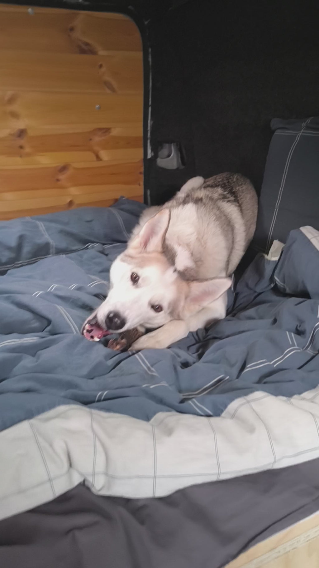 Godbit til Skye