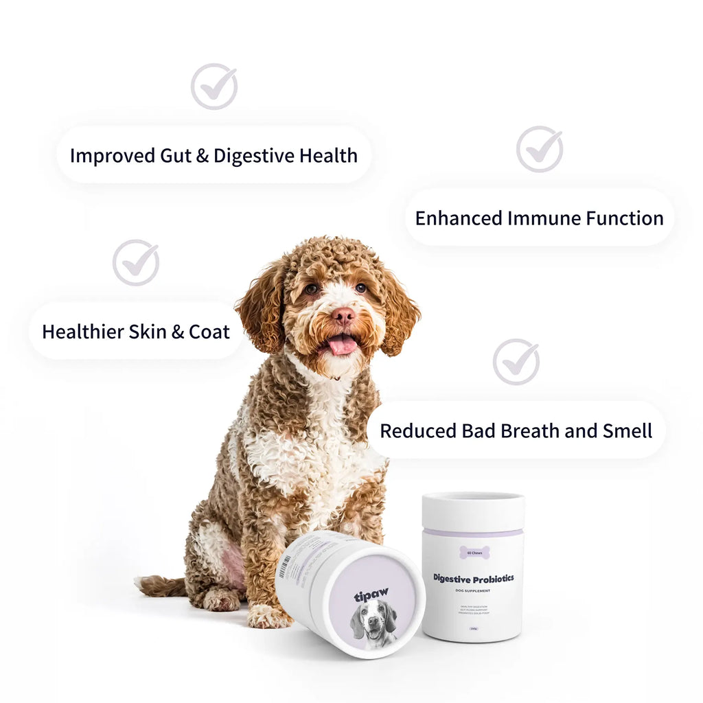 https://cdn.shopify.com/s/files/1/0573/7388/4529/files/probiotics-perks.webp?v=1768468860