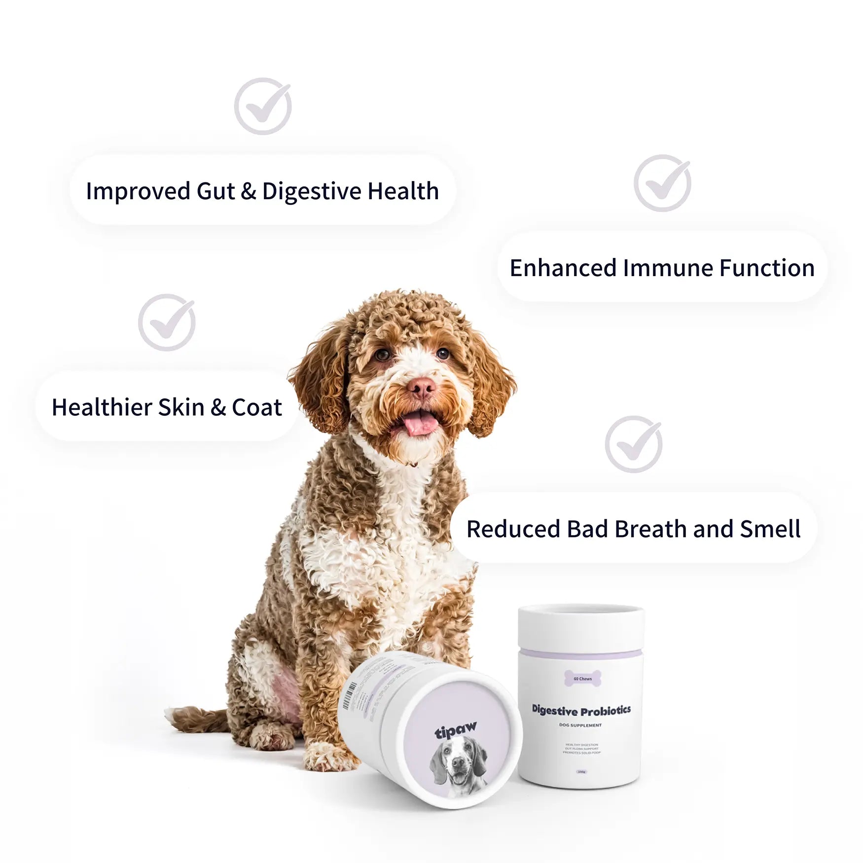 https://cdn.shopify.com/s/files/1/0573/7388/4529/files/probiotics-perks.webp?v=1768468860