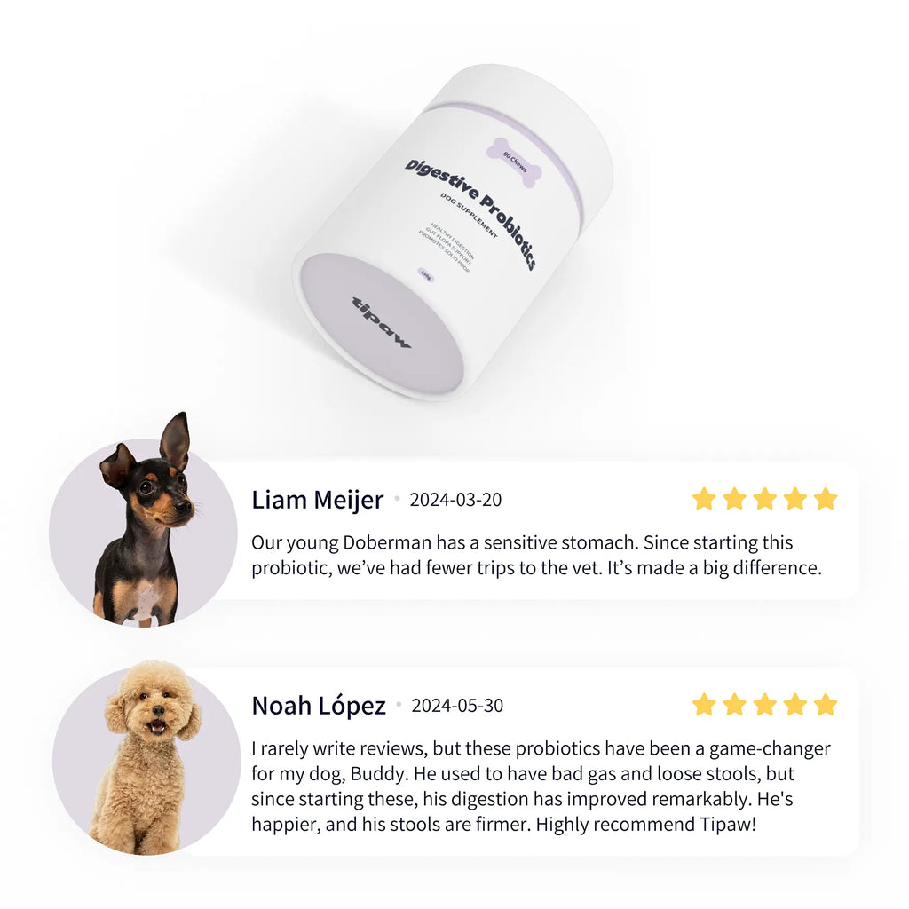 https://cdn.shopify.com/s/files/1/0573/7388/4529/files/probiotics-reviews.webp?v=1768468860
