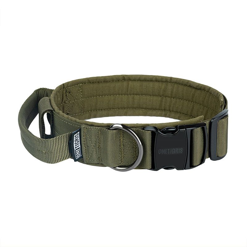https://cdn.shopify.com/s/files/1/0606/6549/5635/files/tg-gbt08-rg-1-2.jpg?v=1751255504