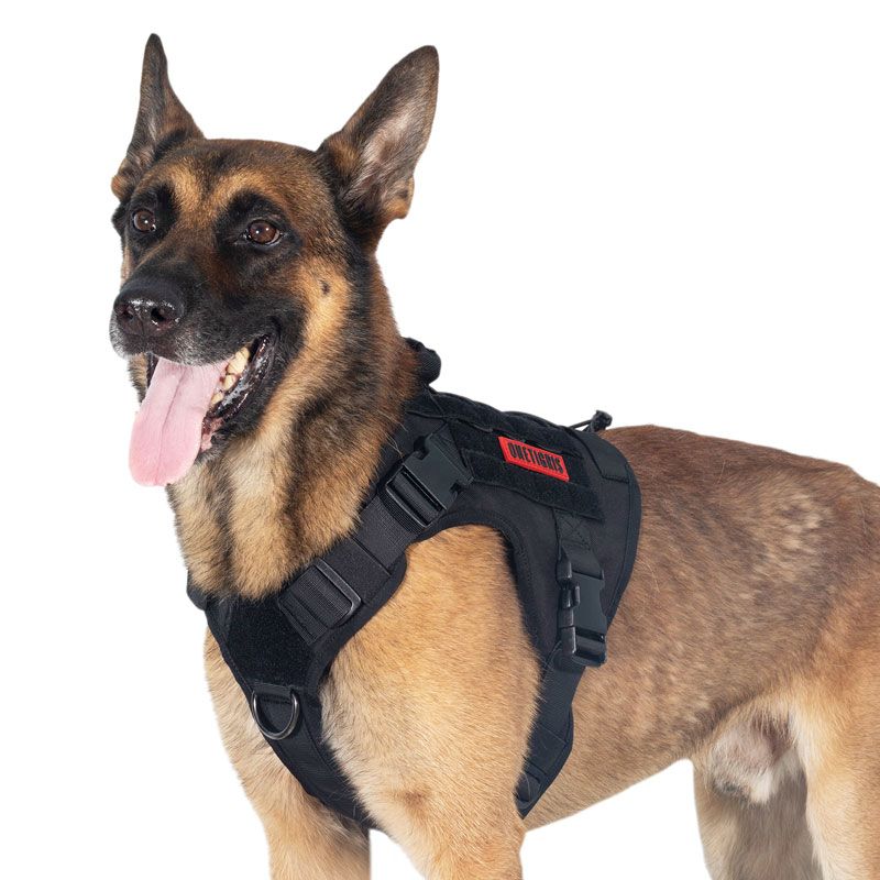 https://cdn.shopify.com/s/files/1/0606/6549/5635/files/tg-gbx03-bk-1-1_17.jpg?v=1745565555